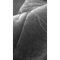 04_Bretz-106_TERATAI-Detail_sw.jpg