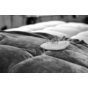Bretz_05_Bretz-104_BALAAO_Making-of_01.jpg