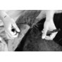 05_Bretz-106_TERATAI-CHAIR-work.in-progress_05.jpg